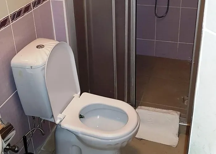 Serife Sirin Hanim Konagi *